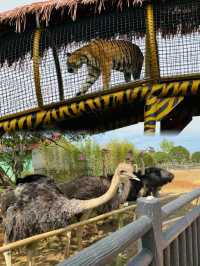 湖南常德野生動物世界 | 動物愛好者的天堂。