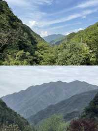 隱於安吉竹林溪谷秘境！270°躺看星空。