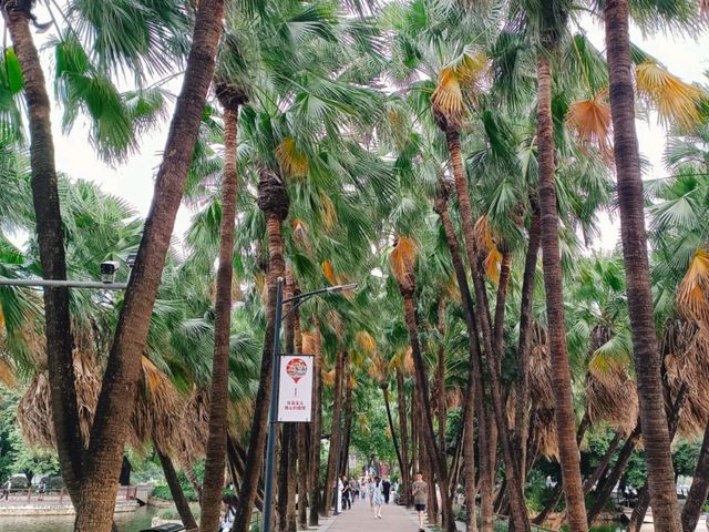 Liu Hua Park: Tranquility of Artificial Lake in Guangzhou