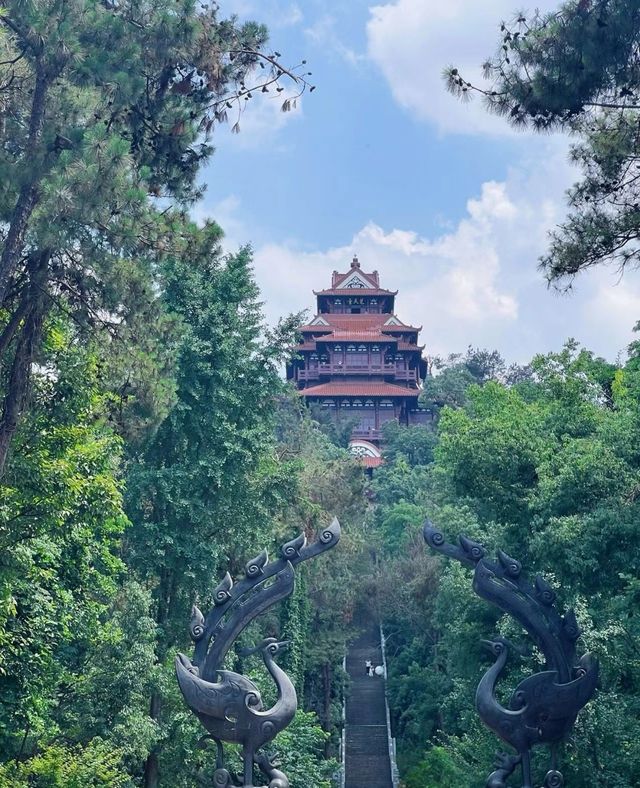 武漢東湖磨山景區，解鎖自然仙境的奇妙探險！