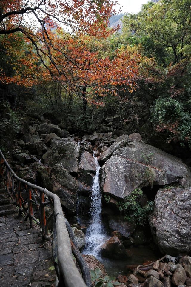 廣西南寧大明山｜嶺南奇境，人間仙域。