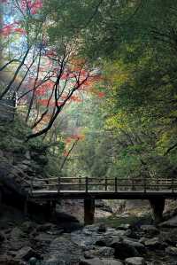 陝西西安|太平國家森林公園。