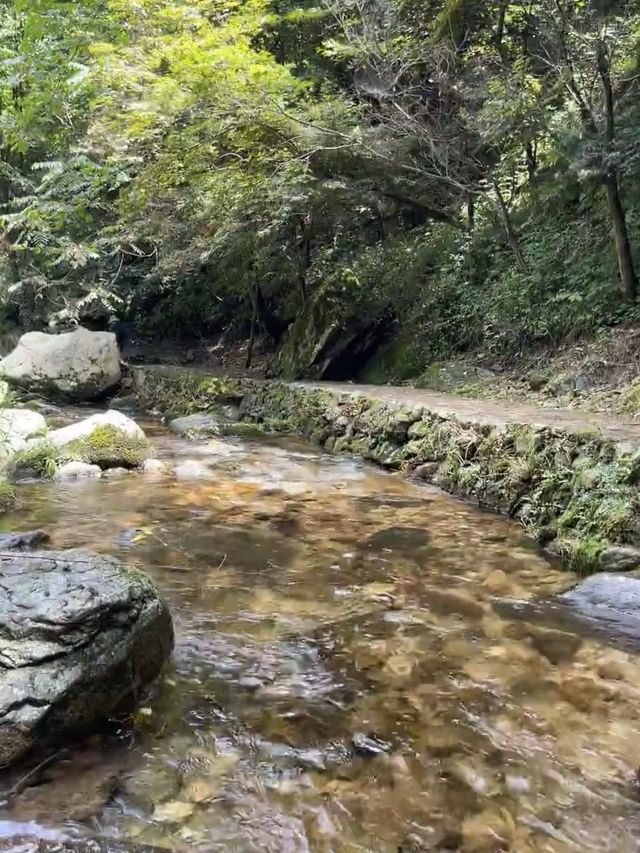 欒川養子溝乘涼的好去處。