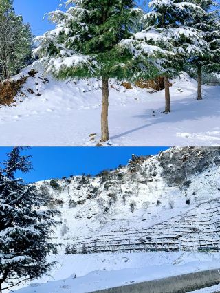 Kunming's snow town is a time- and money-saving destination. 