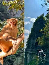 張家界旅遊攻略。