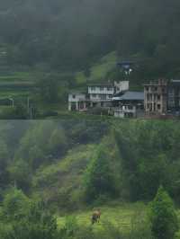 卡拉村分為三個模塊～。