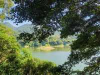 廣州出發 | 三水大南山森林公園週末行山。