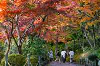 京都之另闢蹊徑｜楓葉花園大山崎山莊美術館。