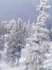 Exploring Tahoe Heavenly: A Perfect Family Ski Destination