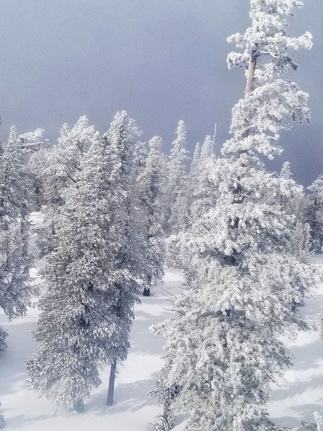 Exploring Tahoe Heavenly: A Perfect Family Ski Destination