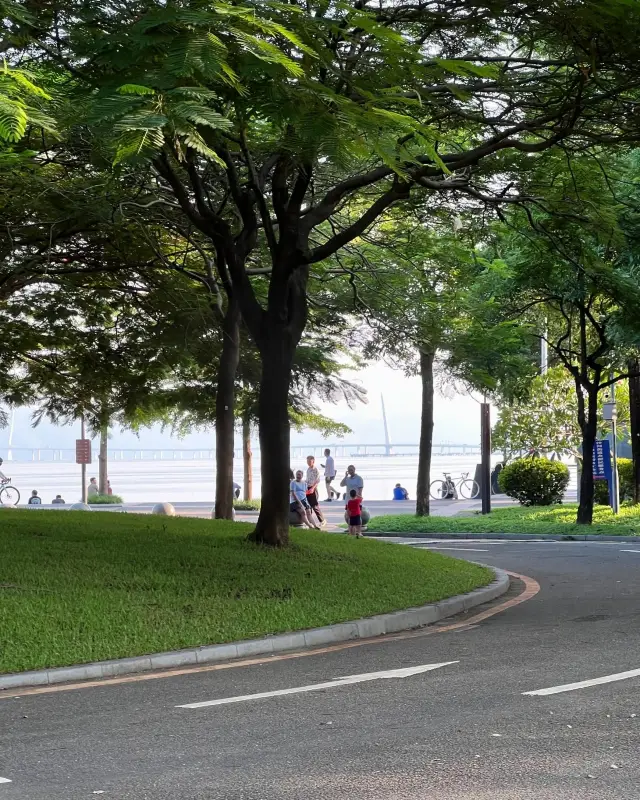 Explore Shenzhen Bay and encounter the beauty of nature. 