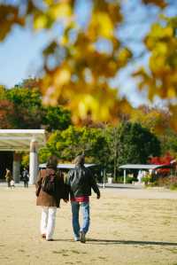 京都楓葉非凡體驗｜紅葉公園手工市集。