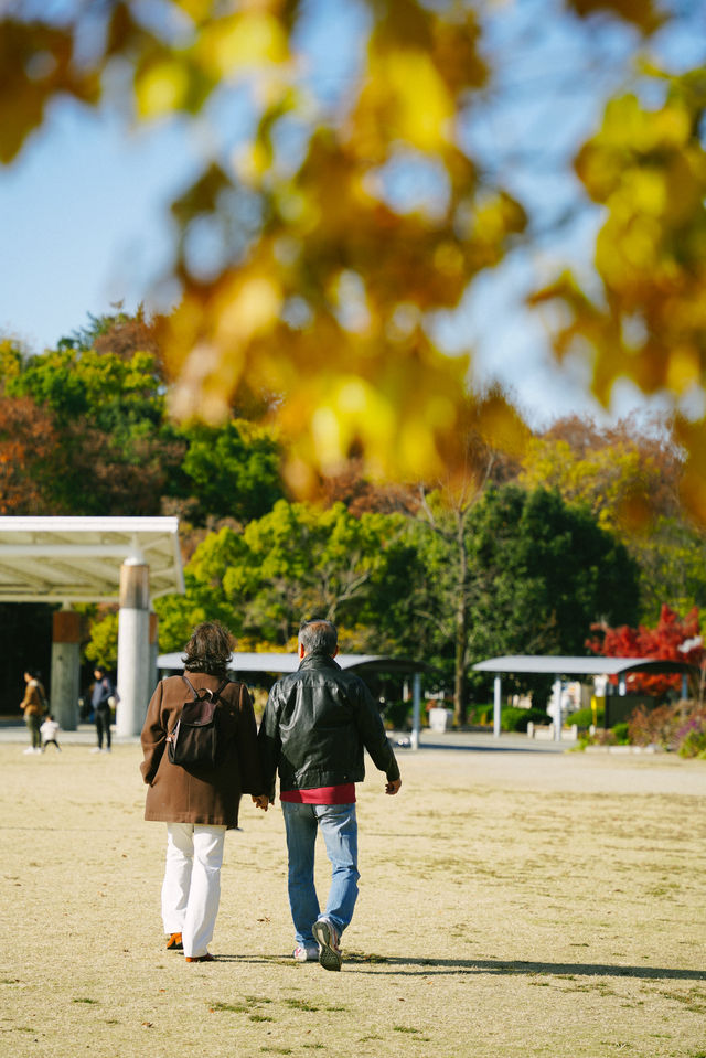 京都楓葉非凡體驗｜紅葉公園手工市集。