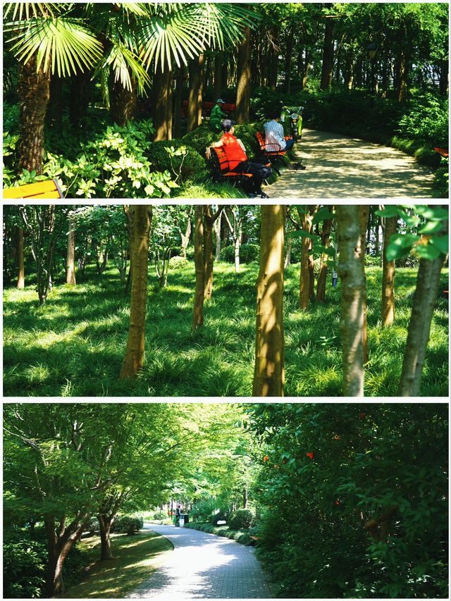 上海崇明區公園合集遊玩攻略，一日遊好去處。