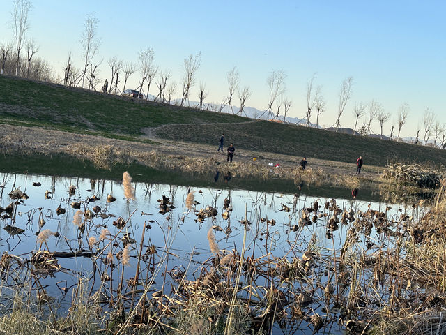 東沙河綠道到大運會遺址公園。