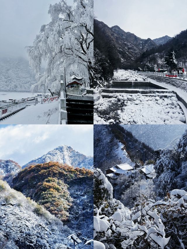 西安人家門口的高山雪場。 西安人家門口的高山雪場。