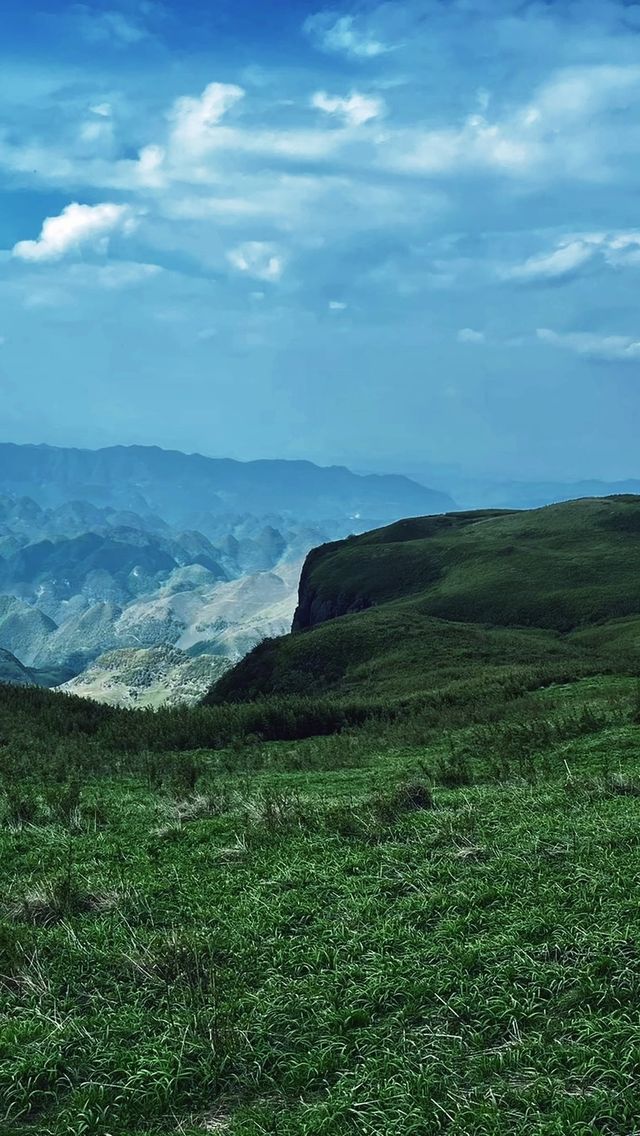 真的不確定來一次阿西里西大草原嗎？ 很美喔