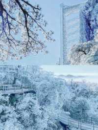 廣東也能看到雪，不是親眼目睹都不相信