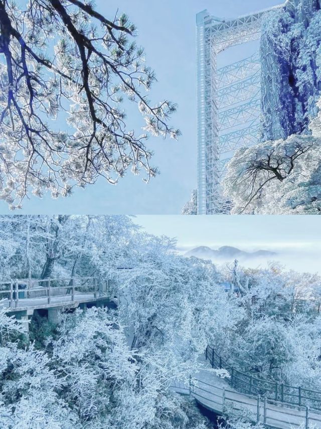 廣東也能看到雪，不是親眼目睹都不相信