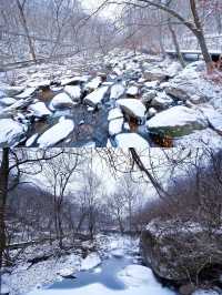 丹東天橋溝滑雪|那個速度與激情的地方