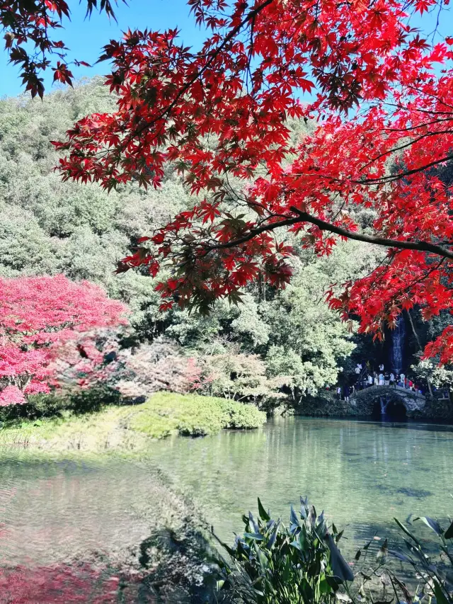 杭州近郊ツアー