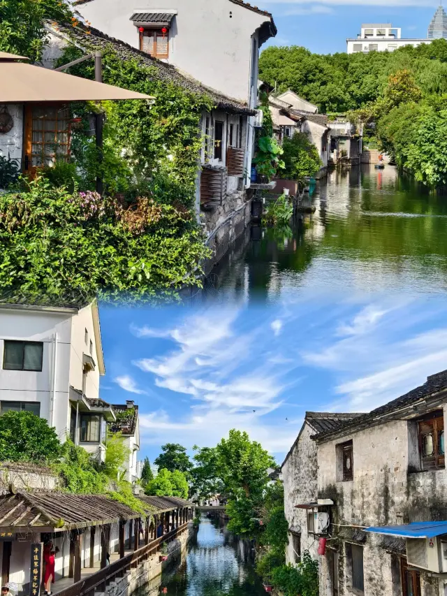 소흥·서성고리｜묵향유운, 필의천추