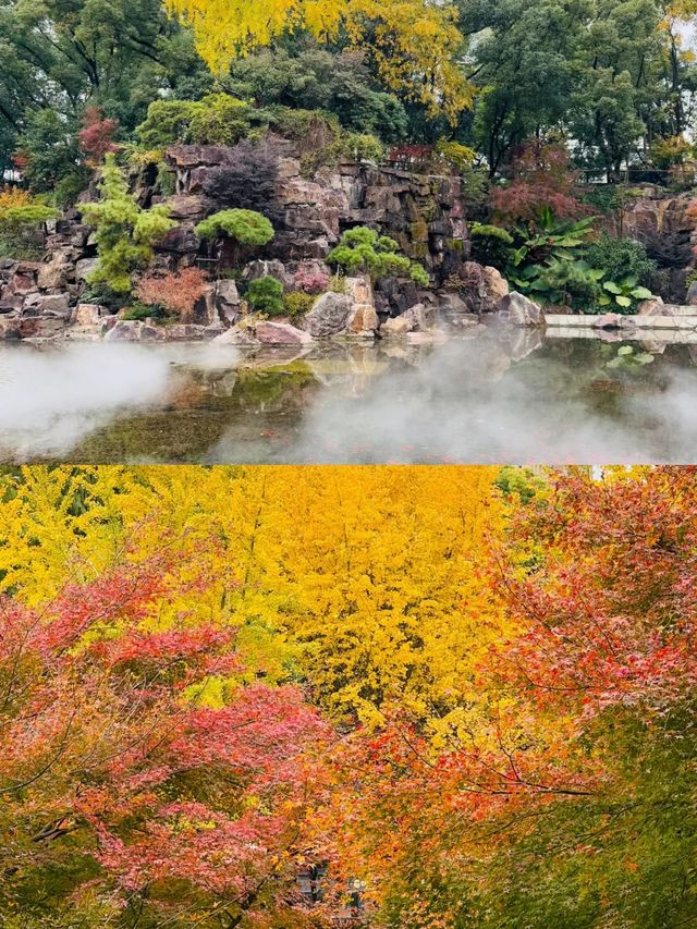上海延中綠地附近冷門公園已美到封神附路線 上海延中綠地附近冷門公園已美到封神附路線