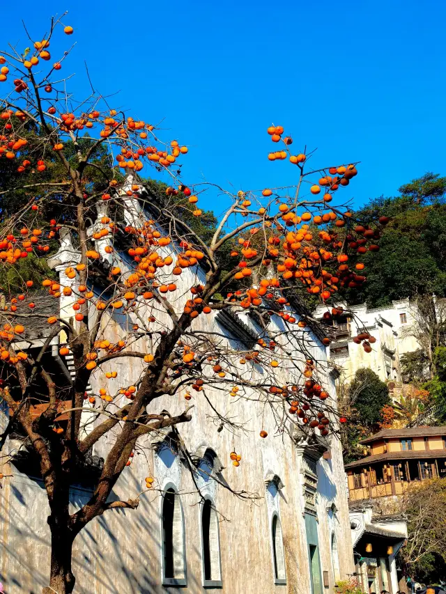 3-Day Trip to Shangrao and Jingdezhen: A Detailed Itinerary