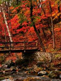 本溪關門山：秋韻華章，紅葉盛境