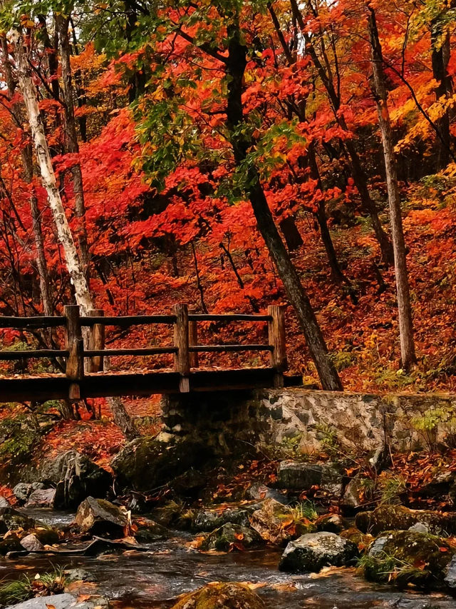 本溪關門山：秋韻華章，紅葉盛境