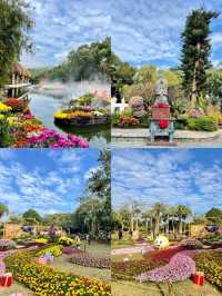 東湖公園菊花展明天開啦，12.20-1.03~