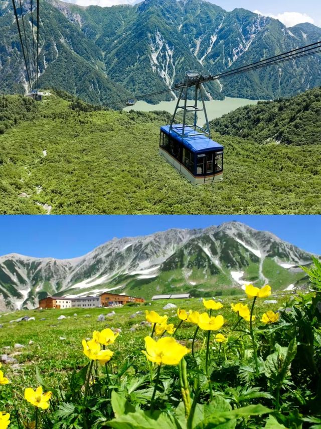 挖到寶藏酒店啦！！在房間就能看阿爾卑斯雪景