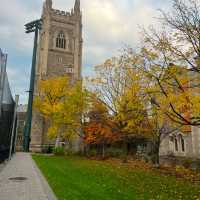 加拿大🇨🇦｜超美大學校園－多倫多大學 University of Toronto🏫📚