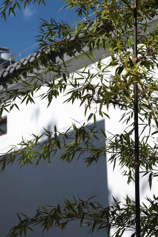住騰沖要泡真溫泉｜騰沖瑪御谷悅椿酒店