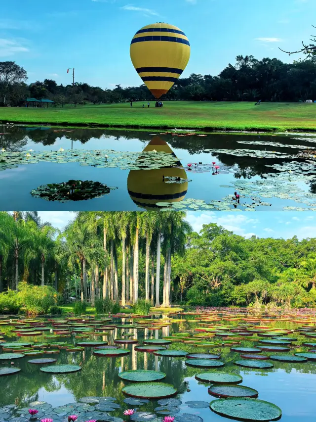 Xishuangbanna | 5-Day Enchanting Journey through the Rainforest and Dai Culture
