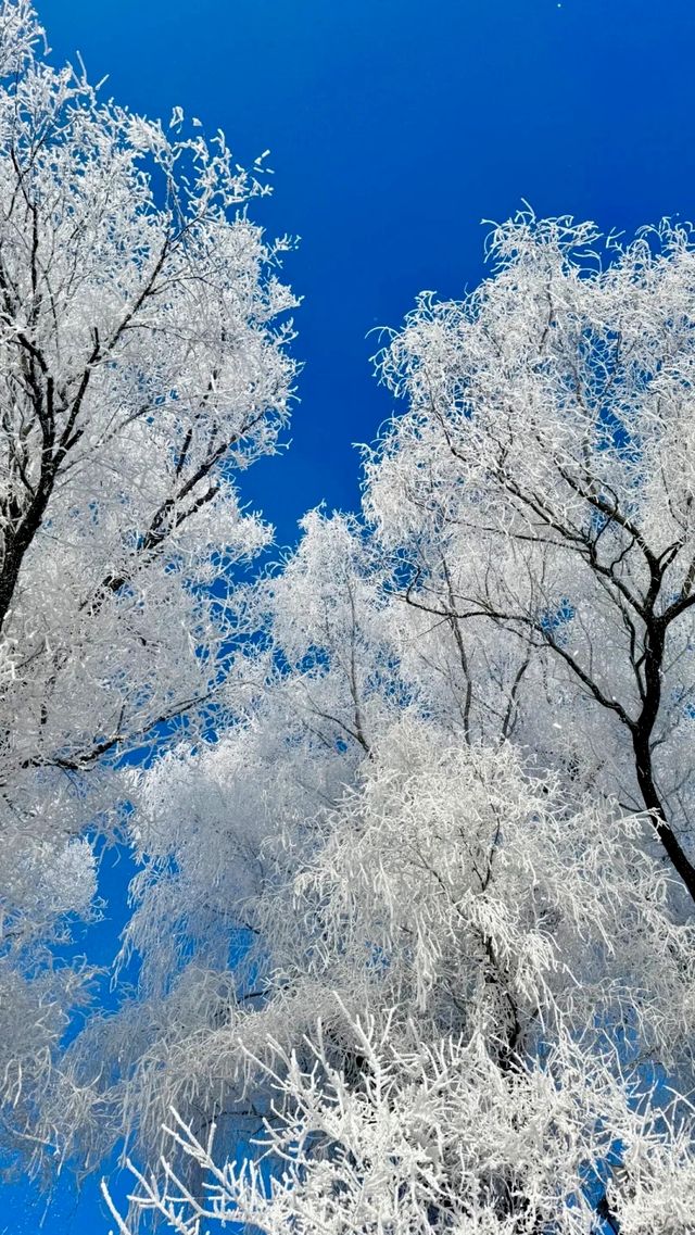 長白之約，情起山海