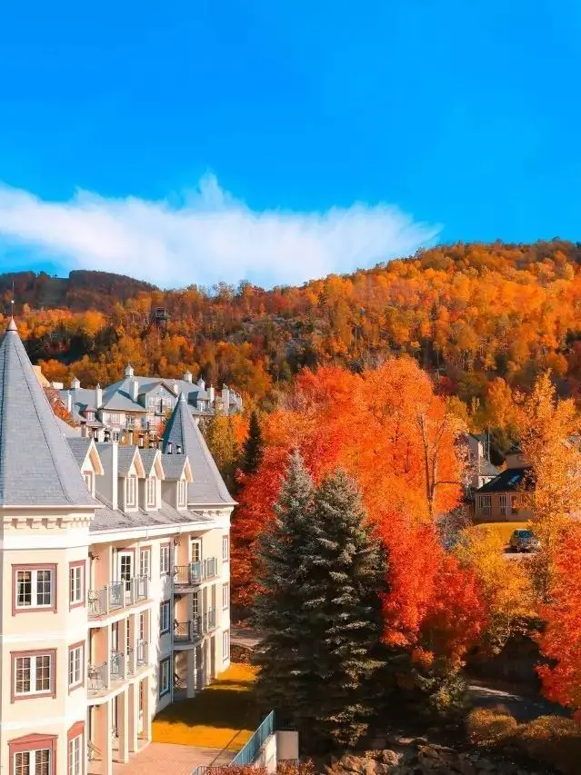 過年好去處加拿大6日遊攻略