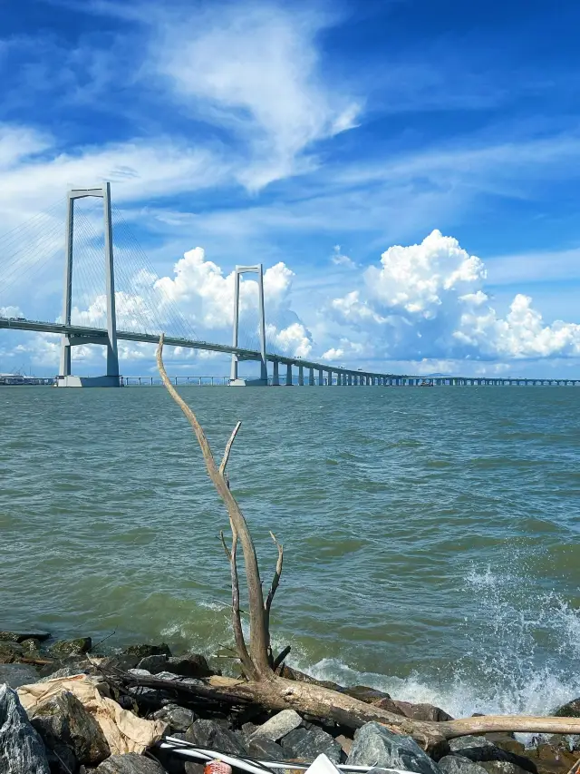 Guangdong Guangzhou-Zhuhai-Shenzhen 6-Day In-Depth Tour Guide for Seniors