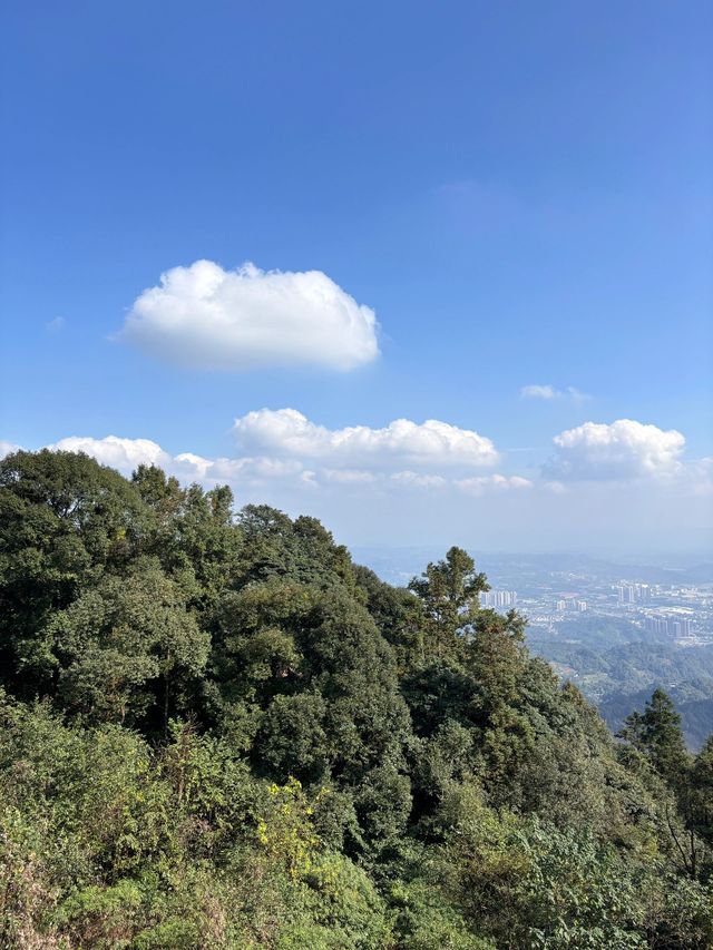 冬天的雅安 2日行程分享給你