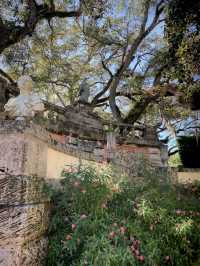 邁阿密小眾景點維茲卡亞花園博物館打卡