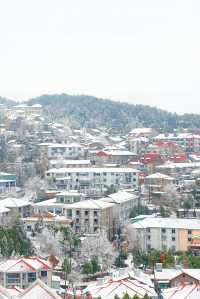 給南方人一點大雪震撼，初雪和廬山適配度拉滿