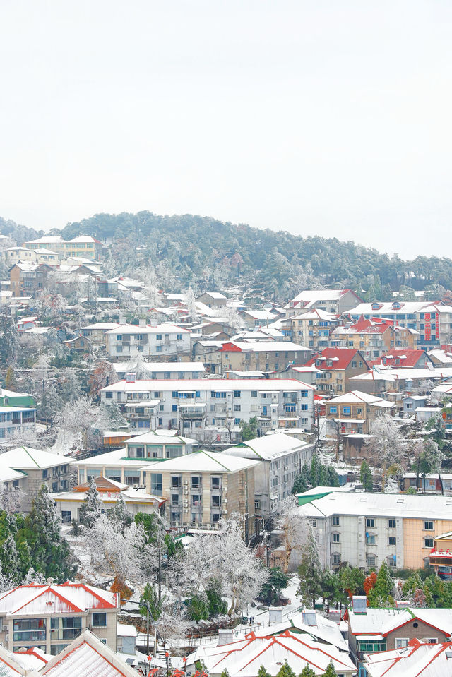 給南方人一點大雪震撼，初雪和廬山適配度拉滿