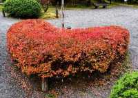 秋日秘境 | 日本小松·那谷寺的紅葉夢境