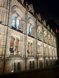 The Natural History Museum at Night: A Magical Experience 🌙