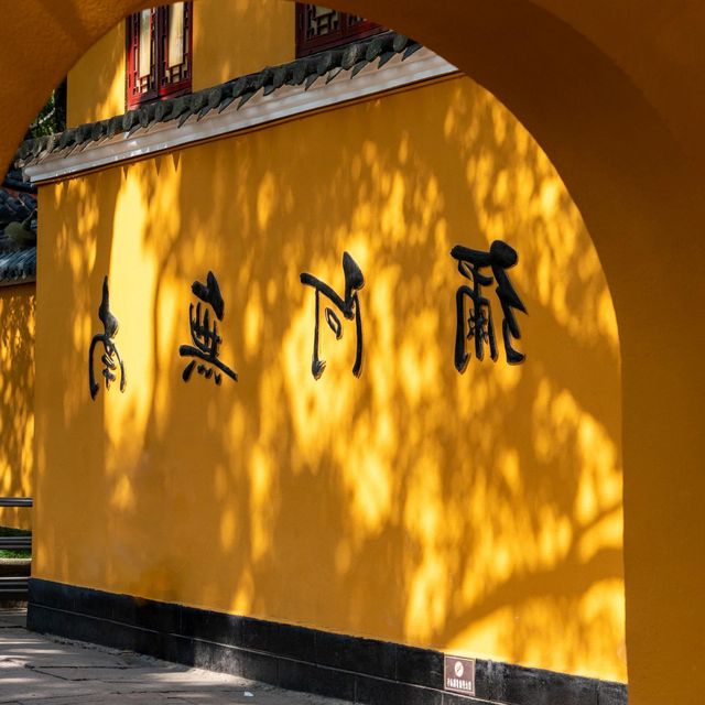蛇年要來一次普陀山，越來越好…