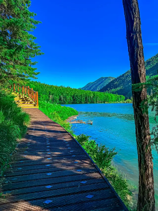 阿勒泰3日滑雪之旅 超詳細全攻略