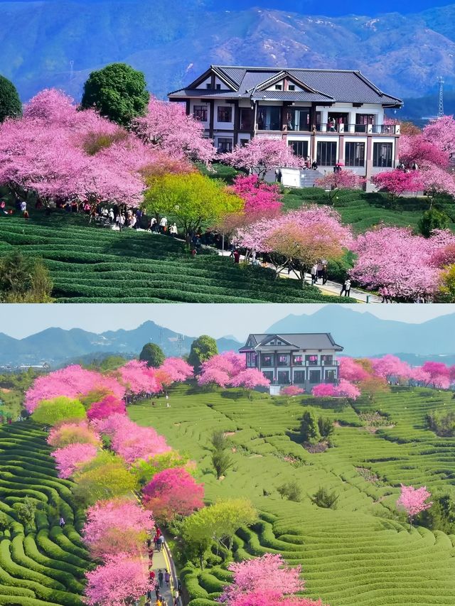 永福受罪已回，要去的姊妹慎重。