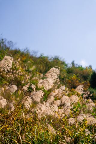飛雲崖|隱藏在貴州大山之間的古剎
