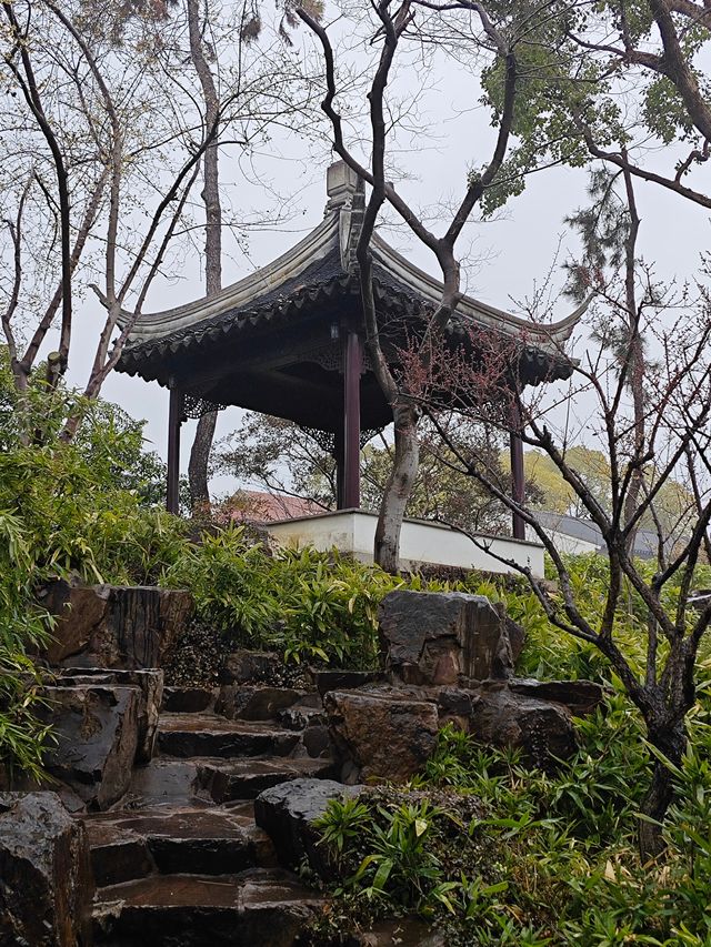 下雨天和園林更配哦-可園拍照打卡攻略