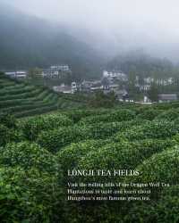 Travel Guide to Hangzhou, China